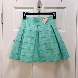 Honey Punch Flare Skirt